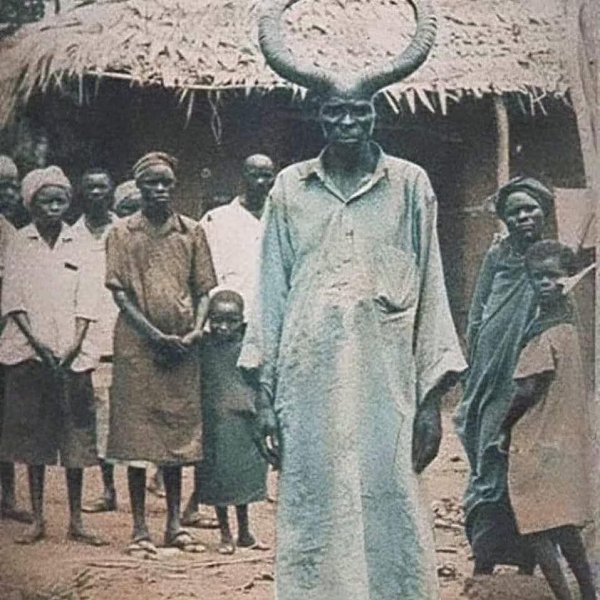 ... 13  2024          ,  ...