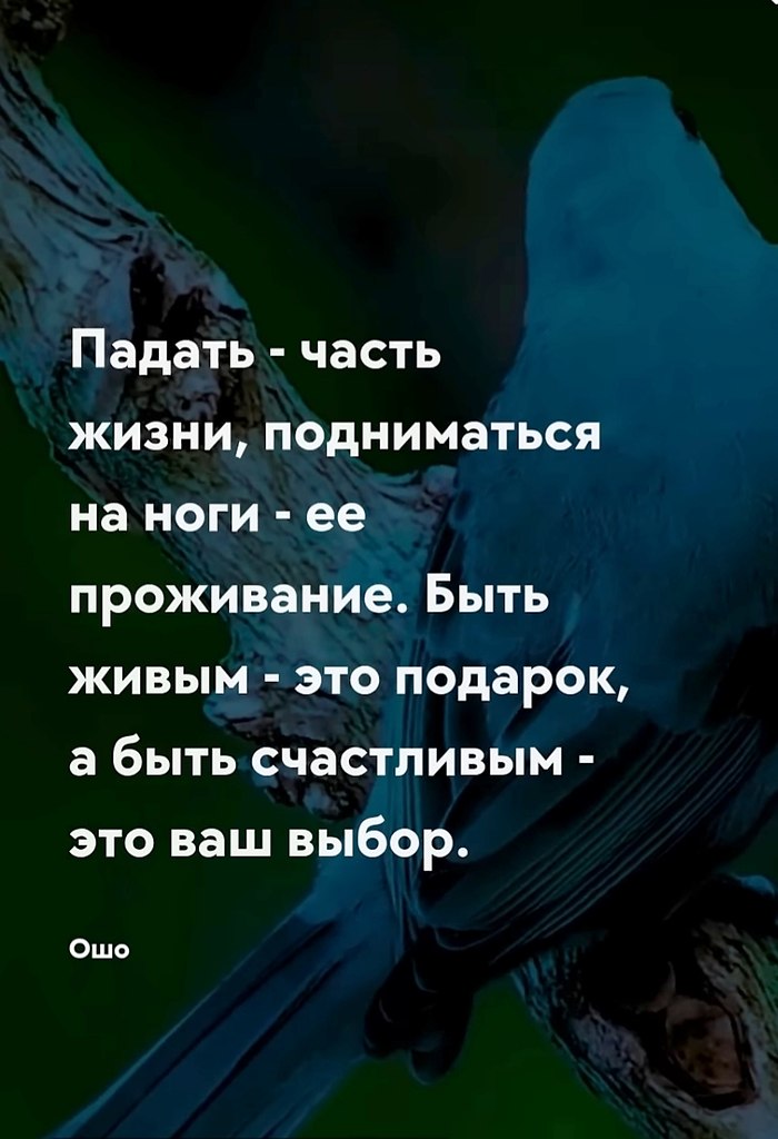   - 10  2025  04:00