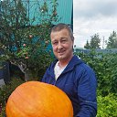  ,  , 51  -  29  2025    