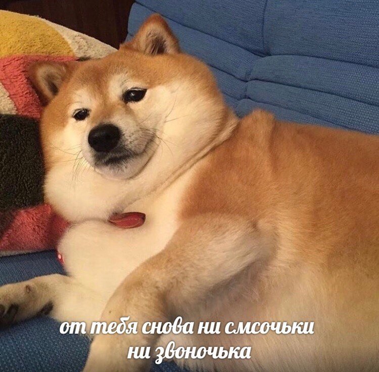    - 5  2024  04:24
