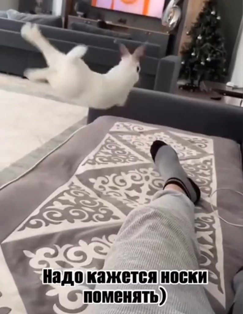 ,   .