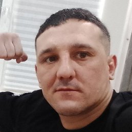 ������, �����������, 36 ���