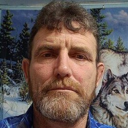 ������, �������, 55 ���