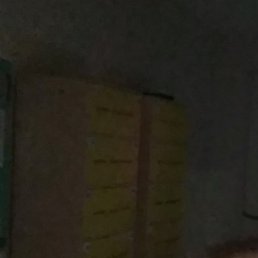 ������, ������, 51 ���