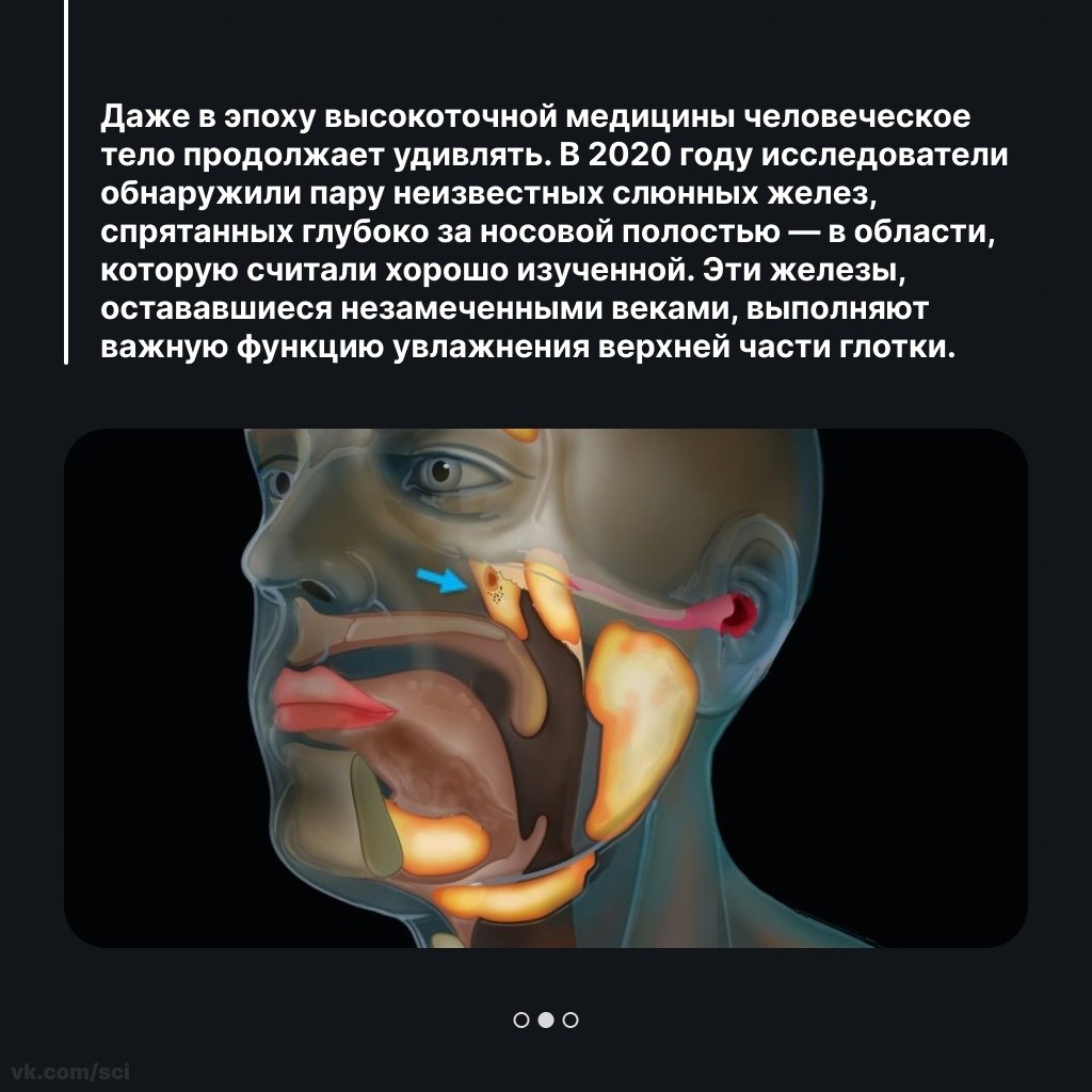  |  |   5 - 30  2025  21:21 - 2