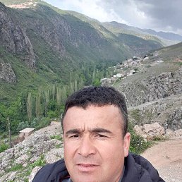 , 36, 