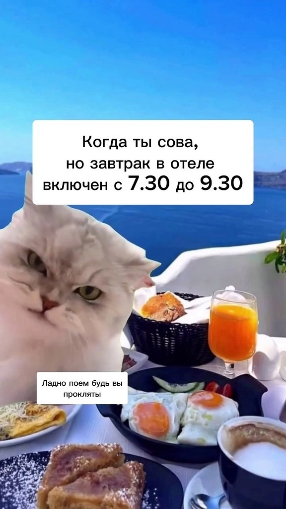      .  ,  ?