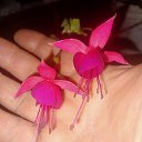 ���� ���������, ������, 54 ���� - ��������� 13 ������� 2025 � ������ ������ ��������