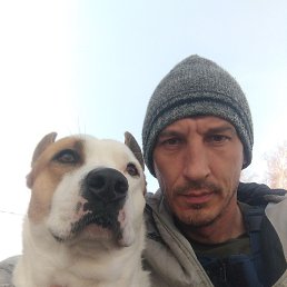 , 44, 