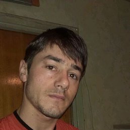 , 33, 
