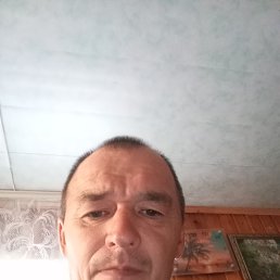 , 42, 