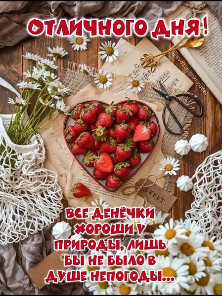   ,    . - 19  2025  13:15 - 4