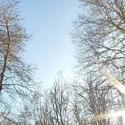 Ayrin, �����, 46 ���