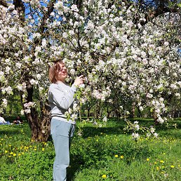 ���� �����, �����, 46 ��� - ��������� 3 ��� 2025