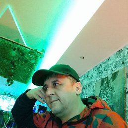 �������, �������-�����, 46 ���