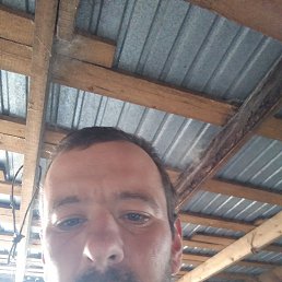 , 36 , 