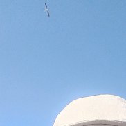 ������, 62 ����, ������