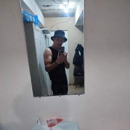 �����, �������, 38 ���