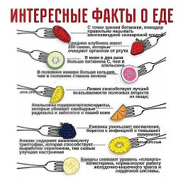 ������, ������, 51 ���