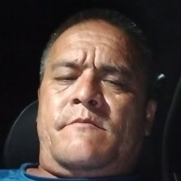 ����, �������, 49 ���