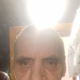 , 52, 