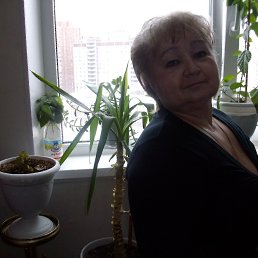 ���� �����, �����-���������, 71 ��� - ��������� 30 ������� 2023