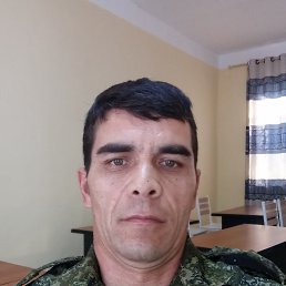 , 44, 