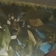 �����, 35 ���, �����