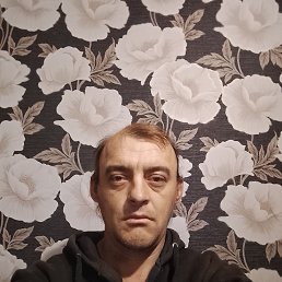 , 39, 