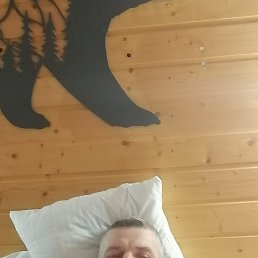 , 39, 
