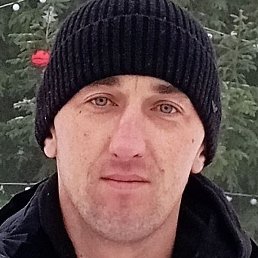 ����, ����������, 36 ���