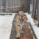  , --, 55  -  2  2025    