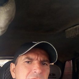 , 42, 