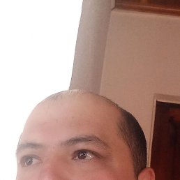 , 41, 