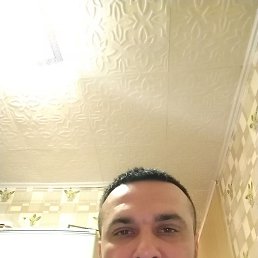 ������, 40 ���, ����