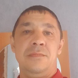 �����, ������, 48 ���