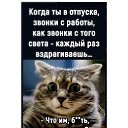 ���� ��������, ������, 18 ��� - ��������� 2 ������� 2025 � ������ ���� ����������