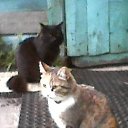 ���� ����, �����-���������, 70 ��� - ��������� 14 ��� 2026 � ������ �����������
