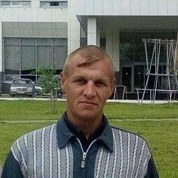 ���, ������, 41 ���