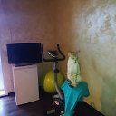 ���� �***, ������, 56 ��� - ��������� 24 ���� 2025 � ������ ���� ����������