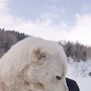 ���� Nikita, �������, 45 ��� - ��������� 12 ������� 2023