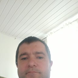, 37 , 