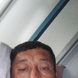 , 47, 