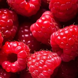 ���� �������, ������, 47 ��� - ��������� 12 ������ 2026