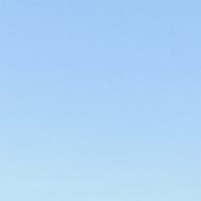 ������, 54 ����, �����������