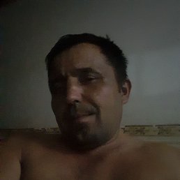 , 34, 