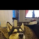  , --, 58  -  22  2024    