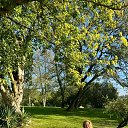 ���� ����, ������ - ��������� 4 ������ 2026 � ������ ���� ����������