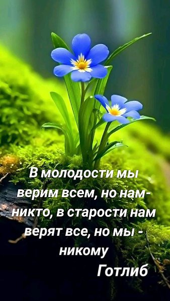 ₪╬═►  ||  ||  ◄═╬₪ - 1  2024  12:40