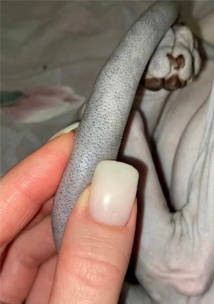    ?